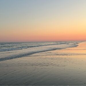 Meet your Posher, Anne